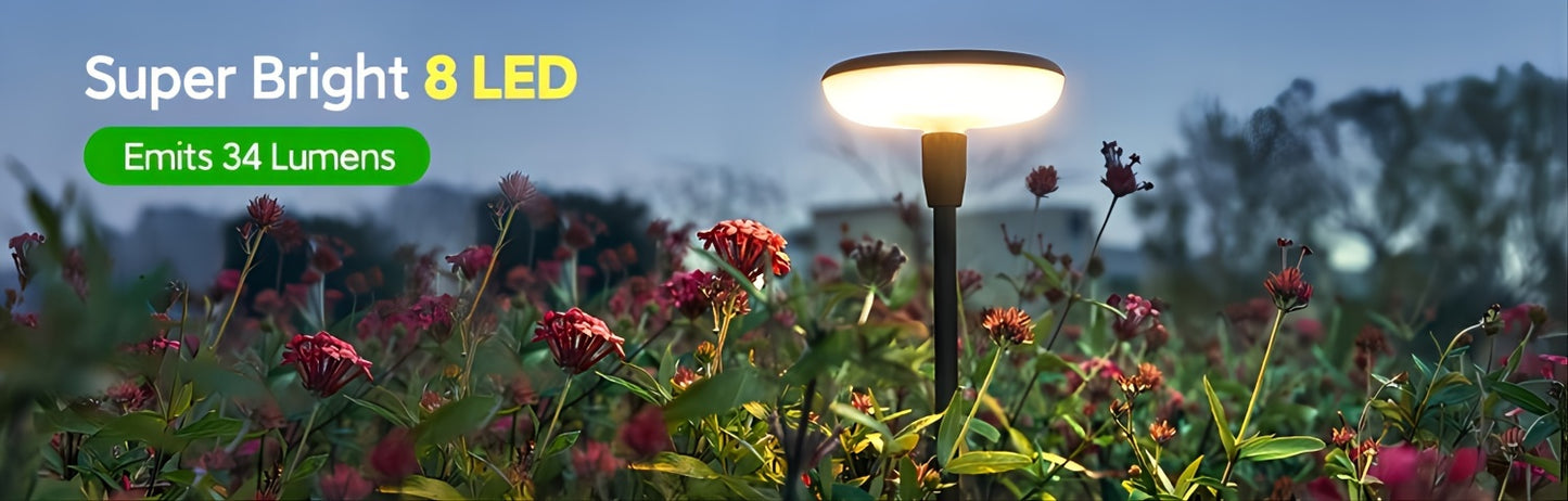 6 Pack 40LM Bright Solar Garden Lights - Tall 31" Waterproof Pathway Lights with Auto On/Off for Yard Outside Patio Path Lawn - Up to 14 Hours Long-Lasting Illumination and Easy Installation